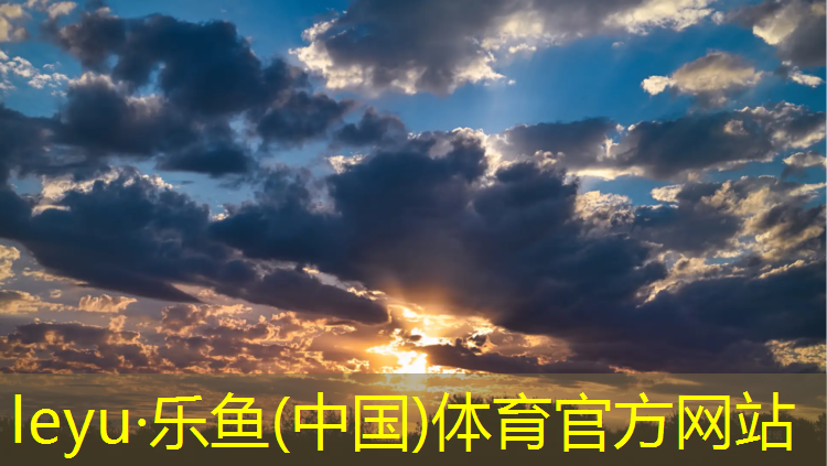 <strong>乐鱼体育,塑胶跑道球场工艺流程</strong>