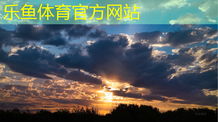 甘孜复合型塑胶跑道材料