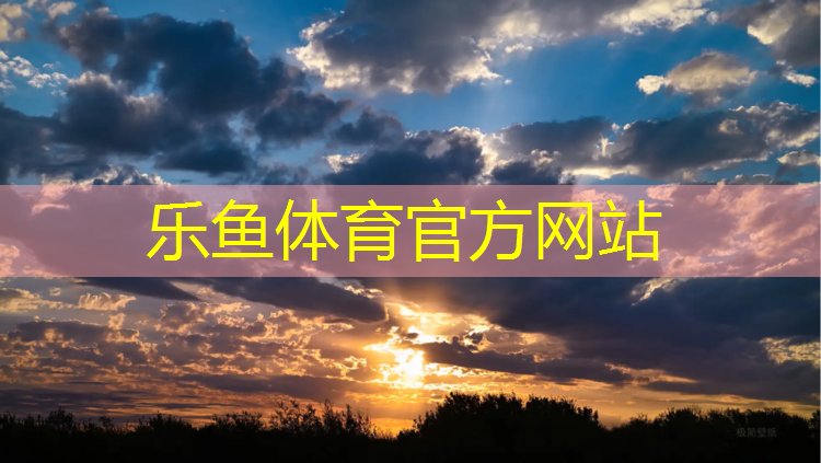 网球网训练器怎么用的