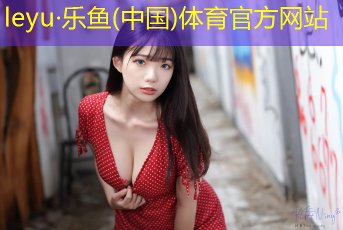 新网球网五世界杯